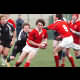 image 34 of 71